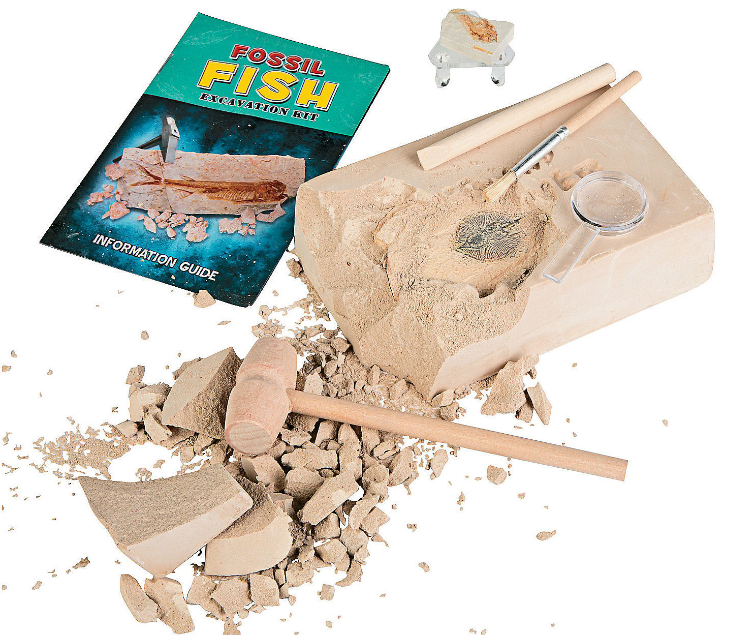 Fish Fossil Excavation Kit