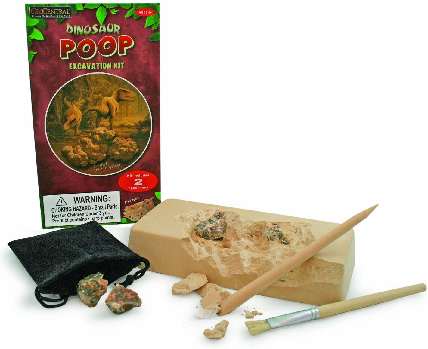 Dinosaur Poop Excavation Kit (Fossil)